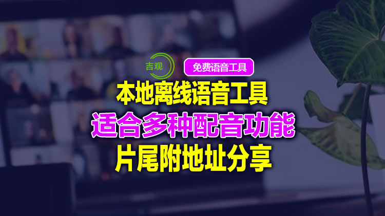 【原创工具】文本转语音工具本地工具，可供多语音和语速多功能选择，片尾附工具分享地址！